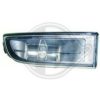 DIEDERICHS 1242088 Fog Light